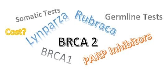 Understanding the PARP Inhibitors - Who Will Benefit?