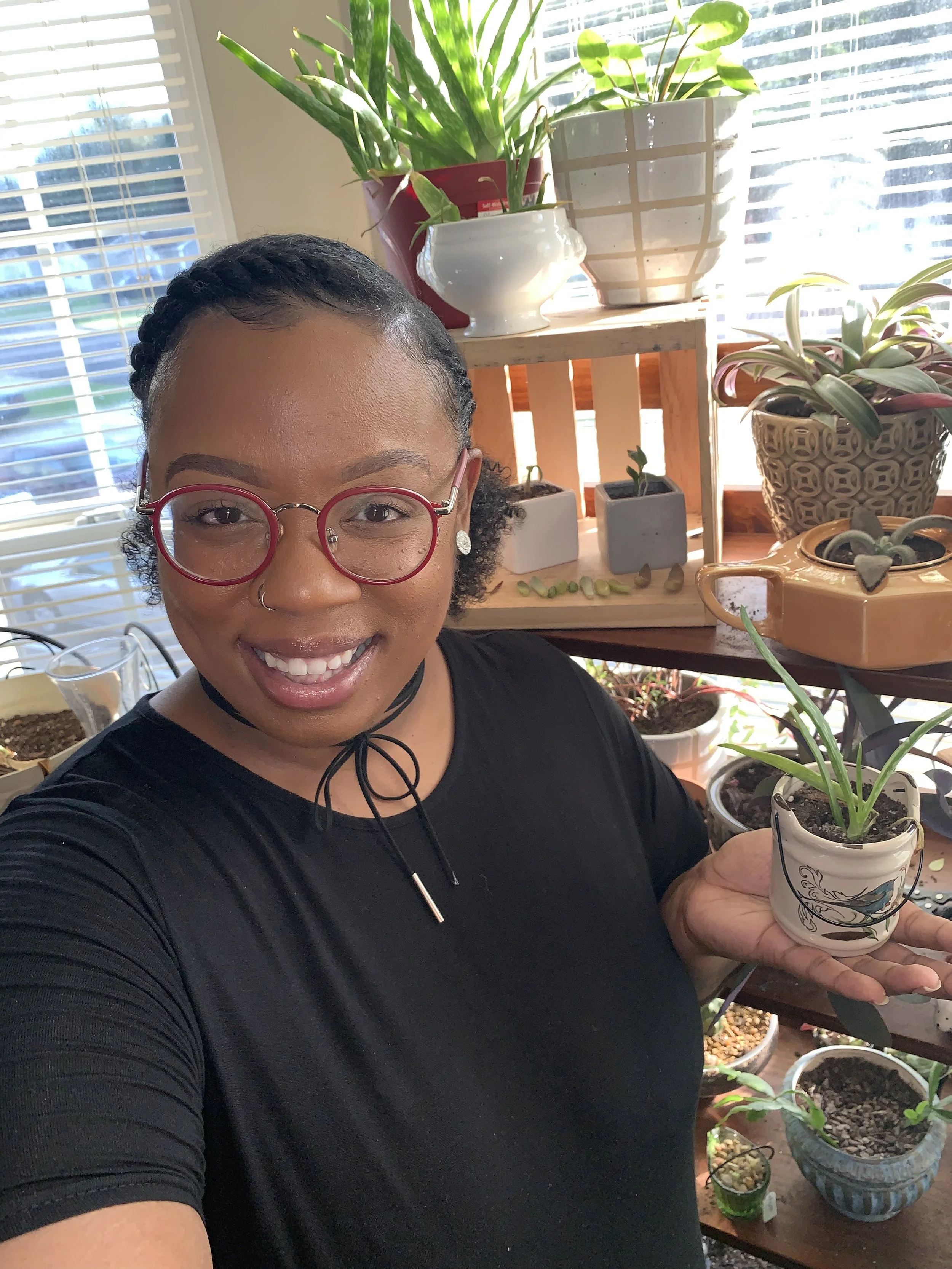 3 Things to Consider When Buying Pots 