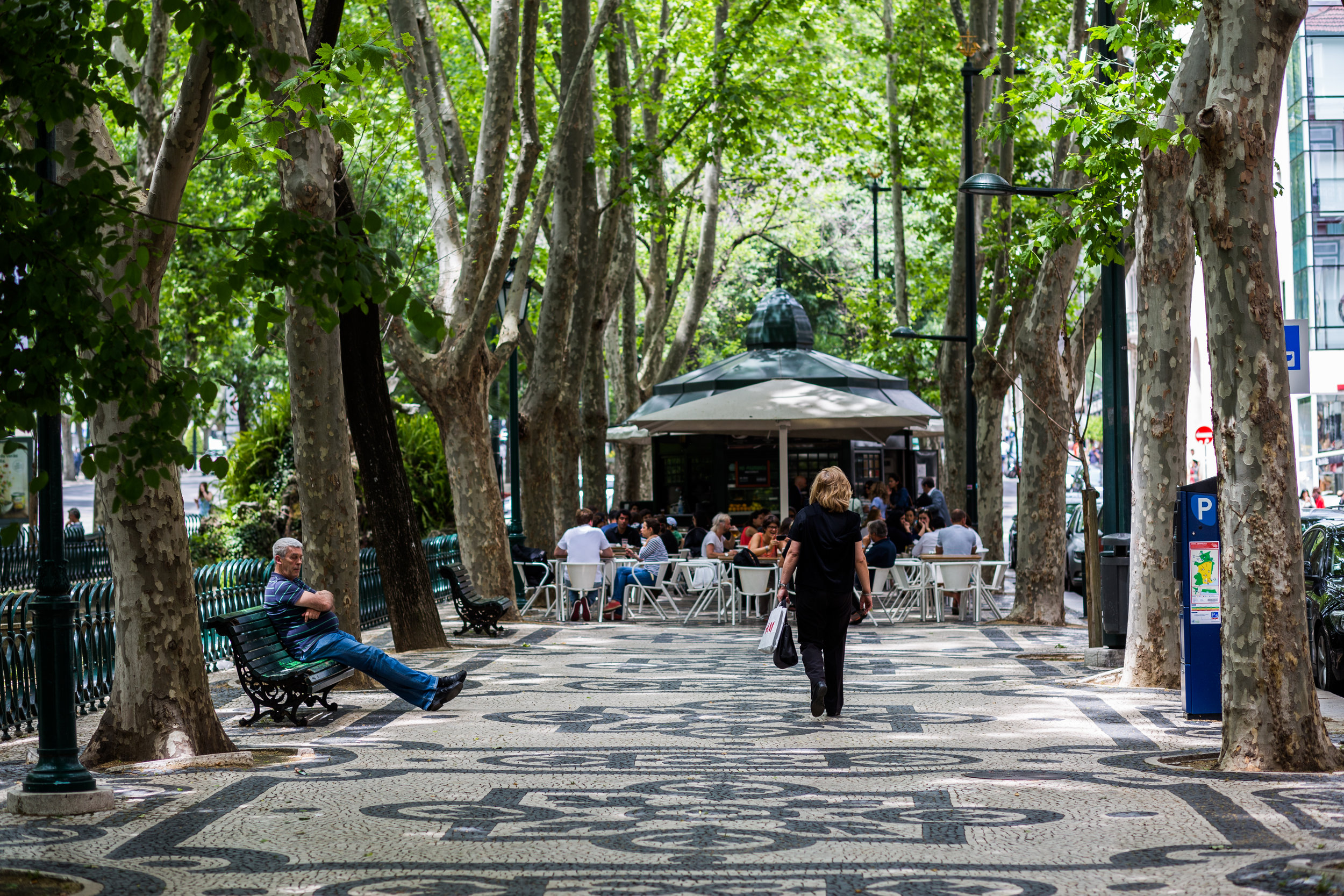 Relaxing under an avenue of trees, Lisbon