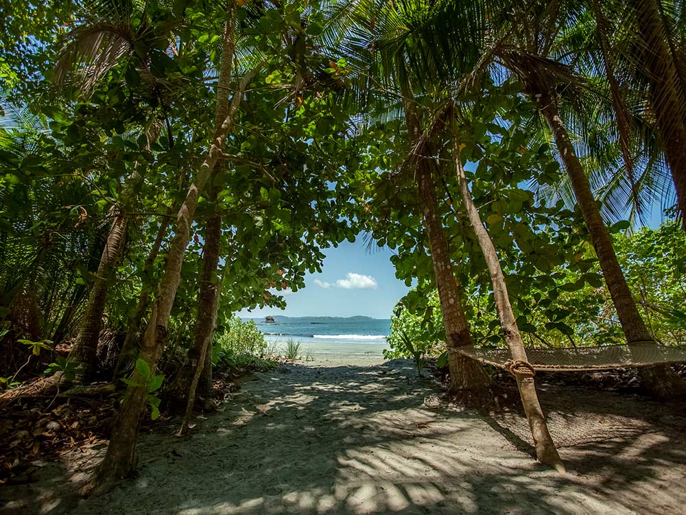 Ocean-Views-from-Every-Casita.jpg