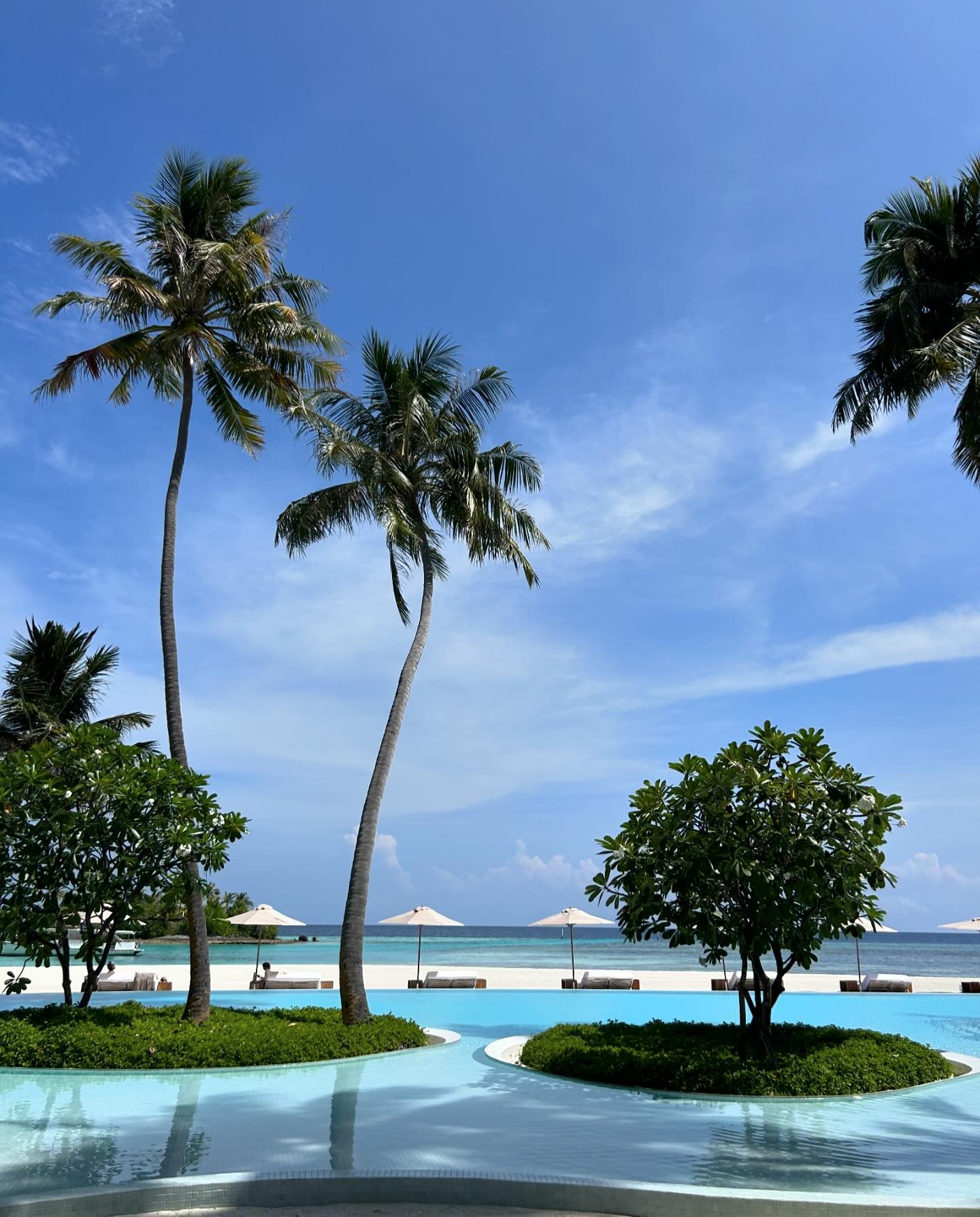 PP is 7 🎉 

7 years of hotel beds, insane pools, the best beach sunsets, many hours in the sky, hotel inspections, trade shows and so much more. BUT best of all, 7 years of being part of numerous travel plans for the best clients there could be. I a