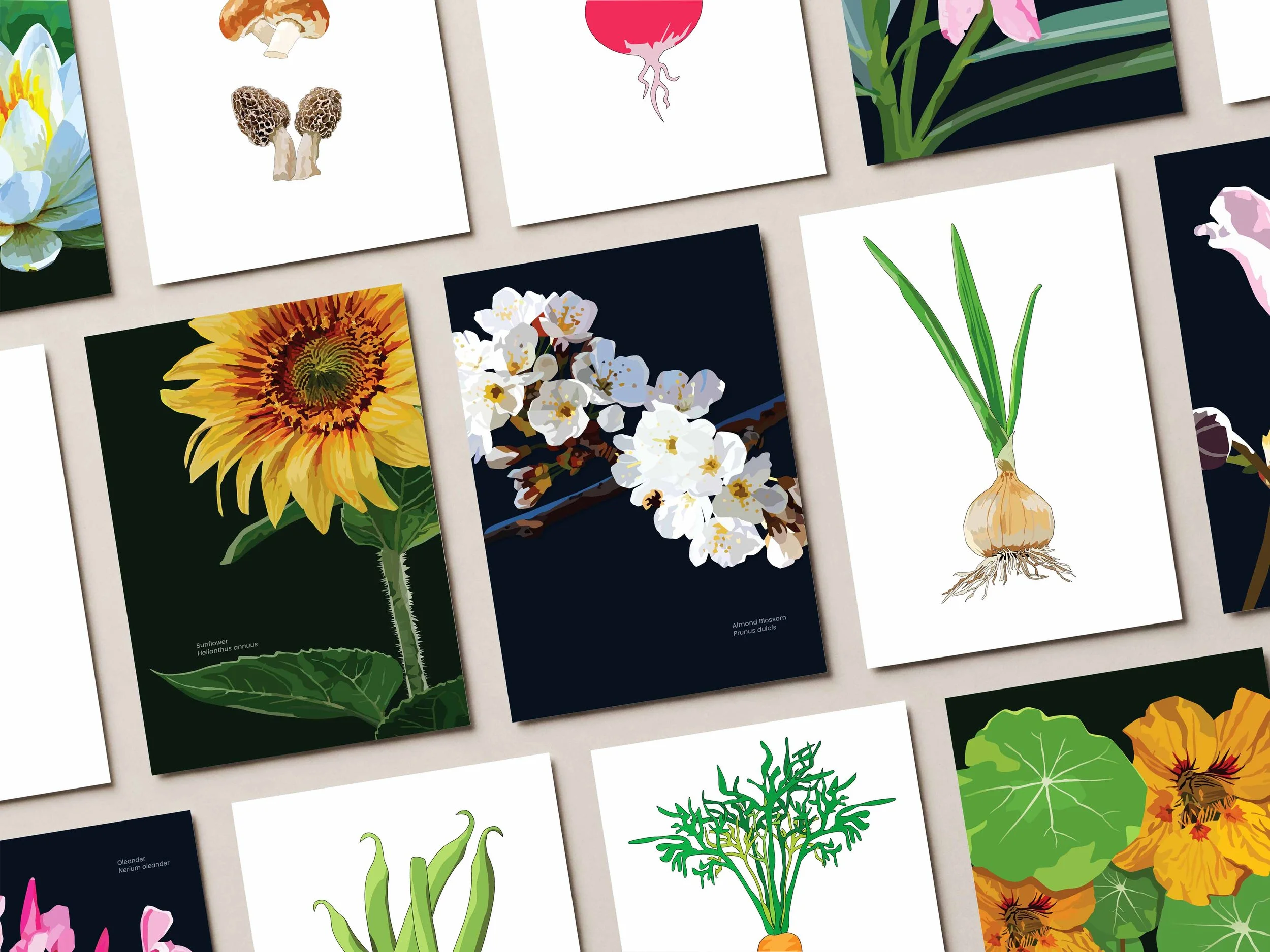 Greeting cards.jpg