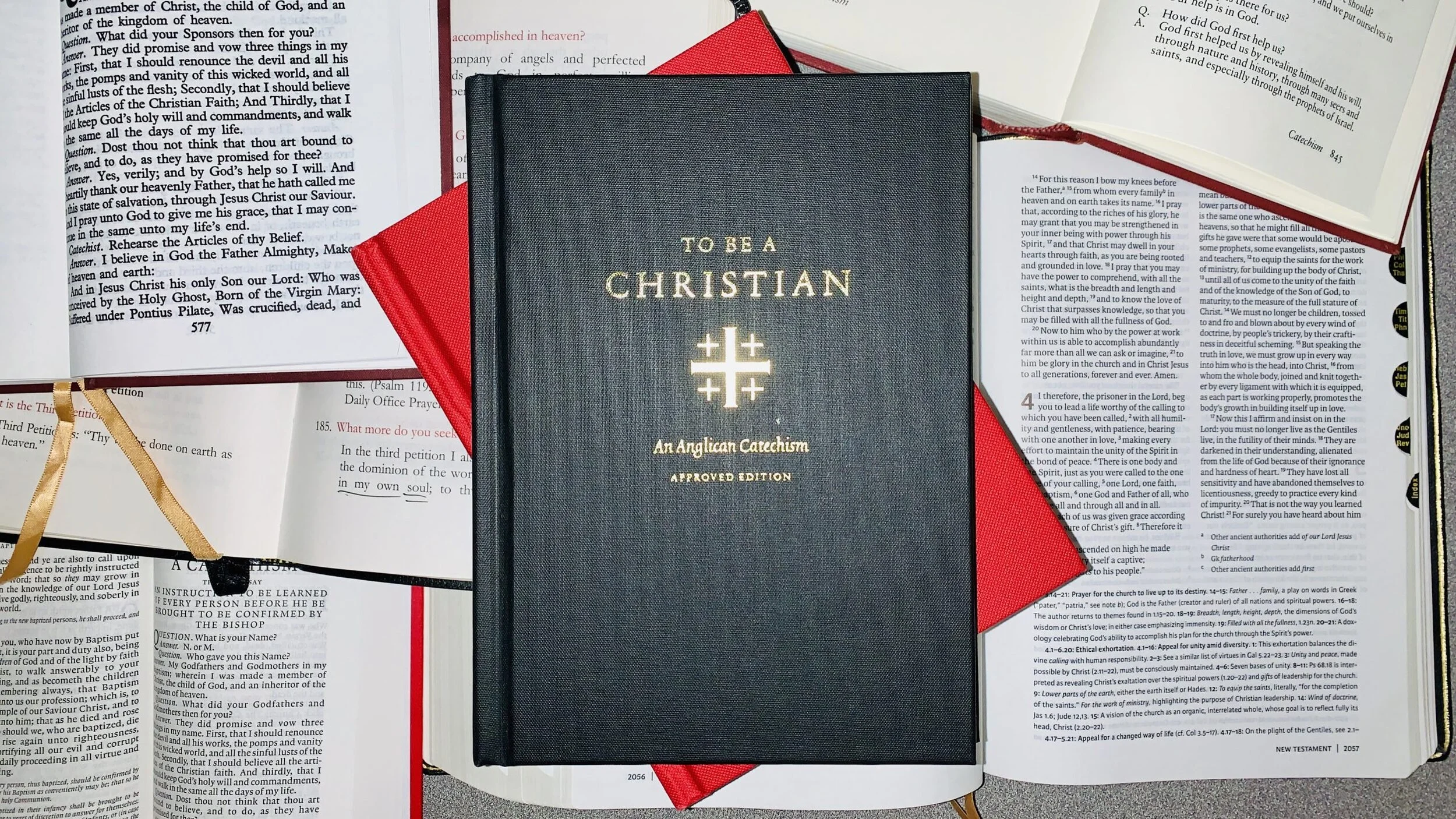 Wednesday Catechesis