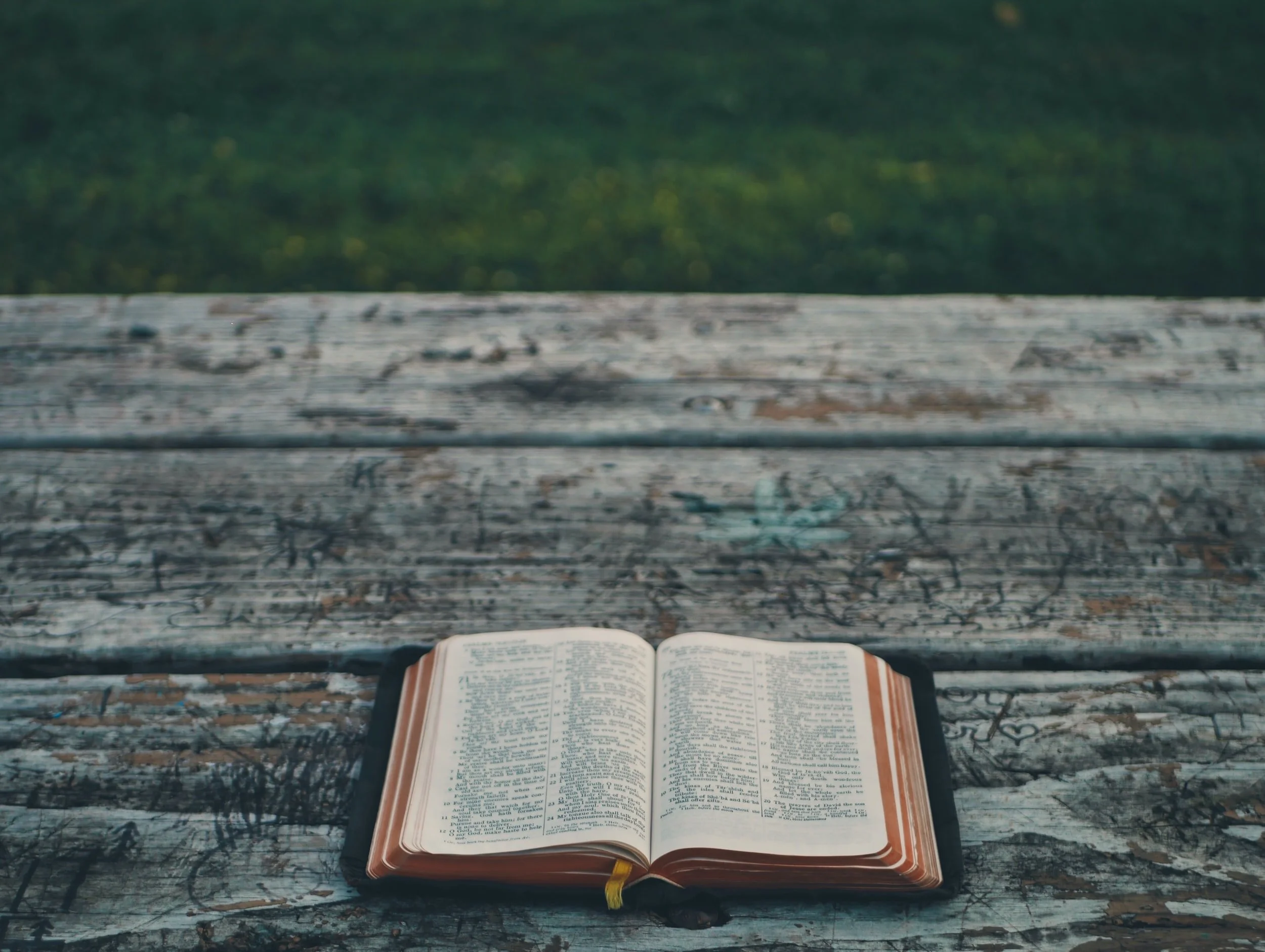 Summer Bible Study at 7pm