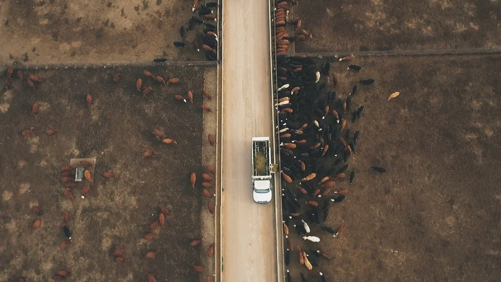 Fall Run Feeders Inc