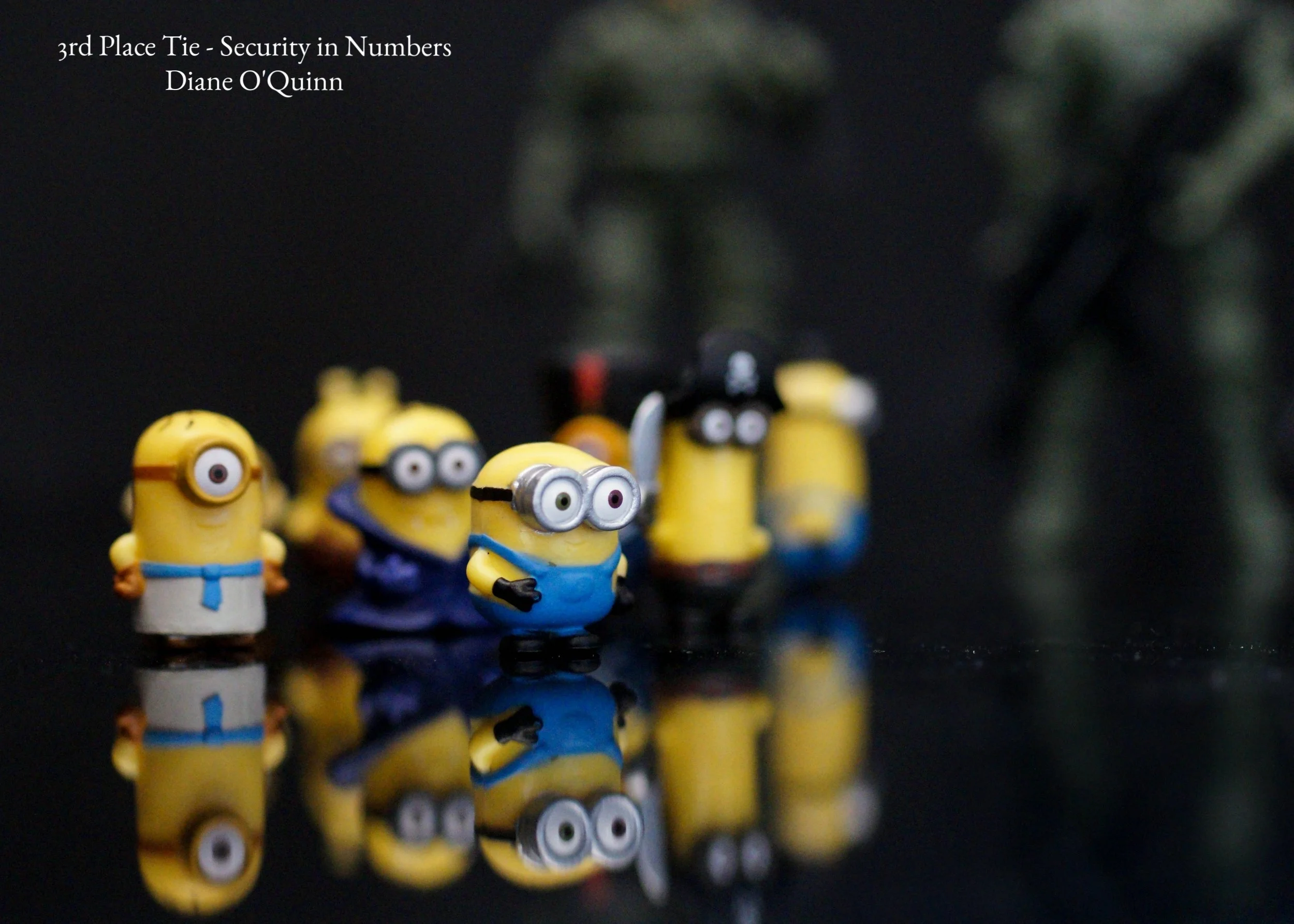 Security in Numbers Diane O'Quinn 3rd.jpg
