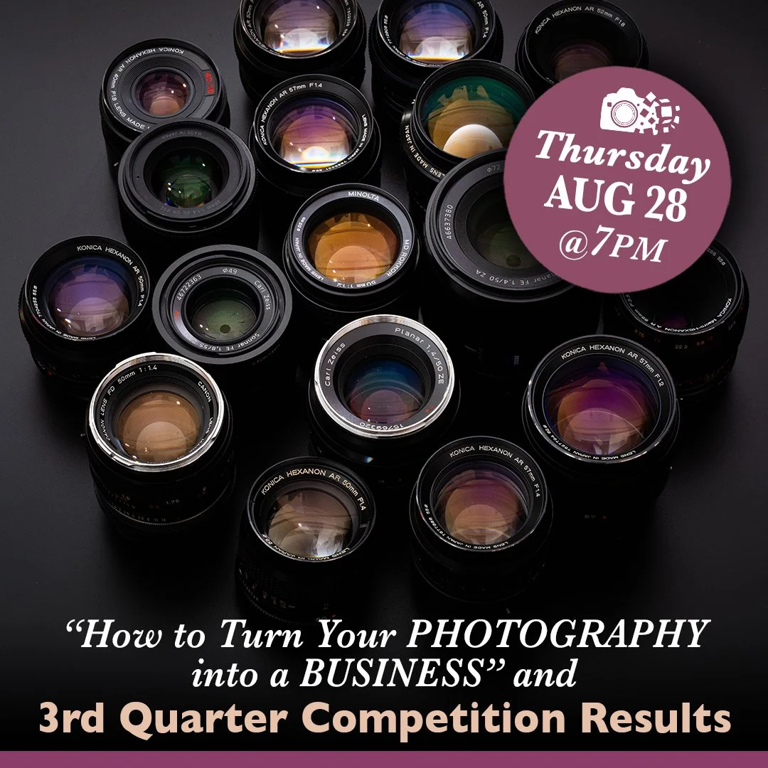 A VARIETY OF STYLES &amp; SUBJECTS will be represented during our 3rd QUARTER PHOTOGRAPHY COMPETITION RESULTS. Along with winner announcements, we will learn suggestions to improve our photography through judging critiques. These are popular, well-at
