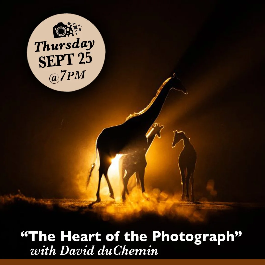 A COMPELLING PHOTOGRAPH is more than visual. It's VISCERAL. We don't only see it, we feel it. It's more than just focusing our lenses; it's also focusing the attention of those who will experience our photographs. Great gear helps, but what about the
