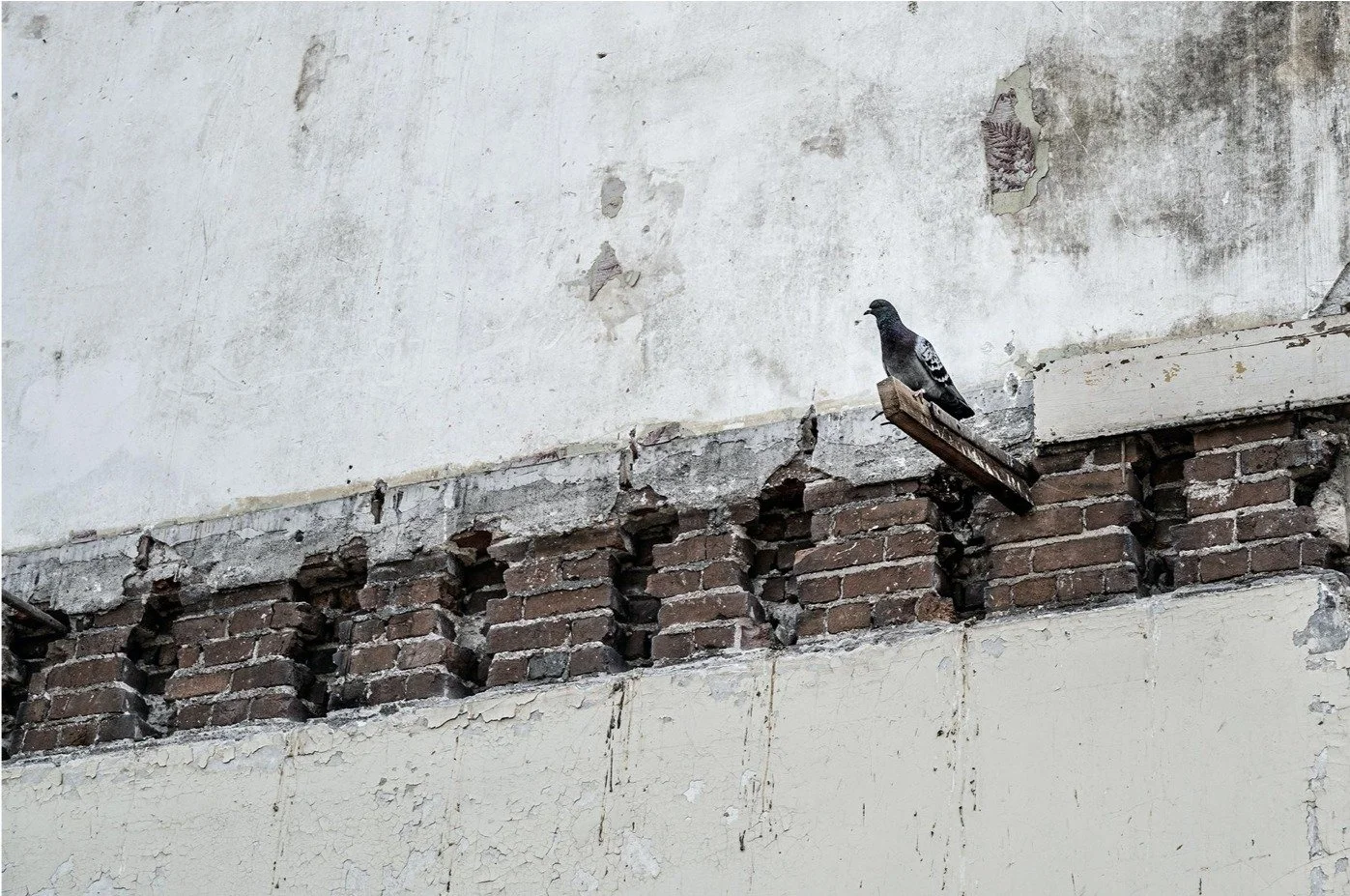 &quot;Alone with His Thoughts&quot; &copy; Robert Mossack was among our top placing photographs in the SWMCC 3rd Quarter Competition. Learn more about how you can participate in the future too! www.swmocameraclub.org