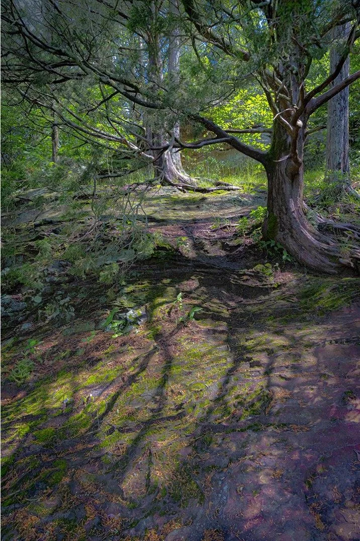 &quot;The Woodlands Beacon&quot; by &copy; Teresa Vinson Brown was among our top placing photographs in the SWMCC 3rd Quarter Competition. Learn more about how you can participate along with us in the future:  www.swmocameraclub.org