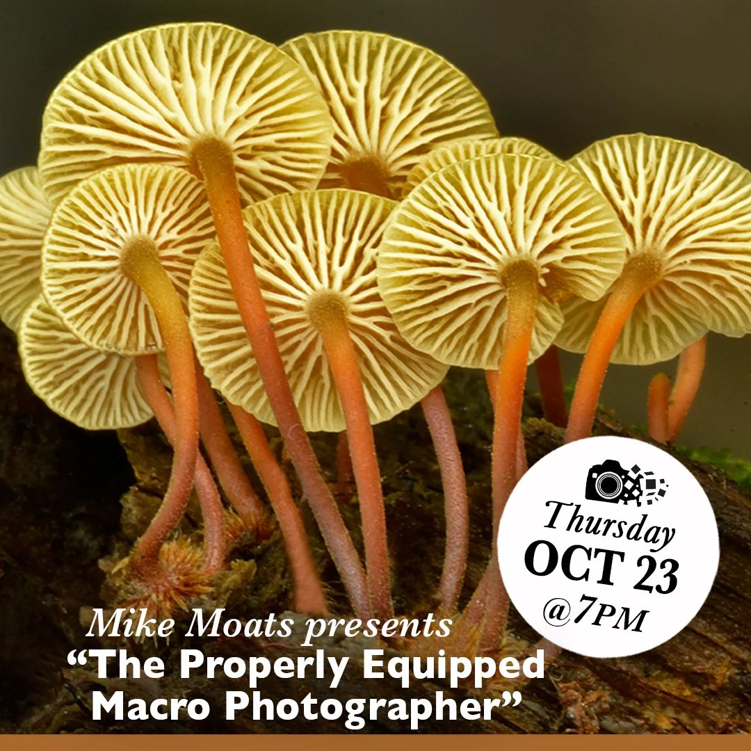 To be a PROPERLY EQUIPPED MACRO PHOTOGRAPHER IS NOT JUST ABOUT THE EQUIPMENT but also equipping yourself with the how-to knowledge of macro photography. Special guest speaker, Mike Moats, will cover the most important equipment for macro photography 
