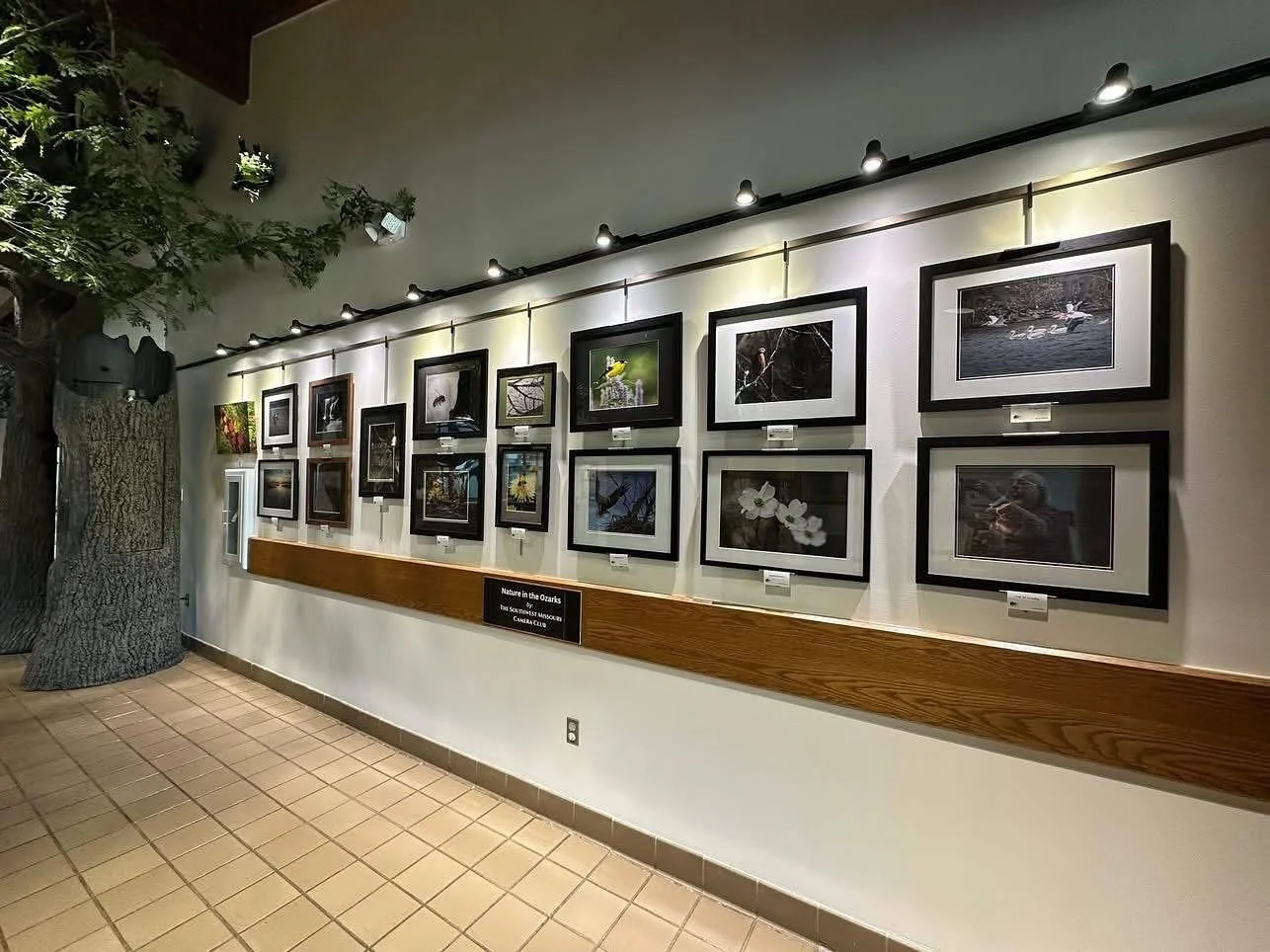 &ldquo;NATURE IN THE OZARKS&rdquo; is the theme of SWMCC&rsquo;s newest public exhibit with 35 images on display. Drop by SPRINGFIELD CONSERVATION NATURE CENTER, 4601 S Nature Way, now through November 30. The center is open 8AM-5PM on Tuesday-Saturd