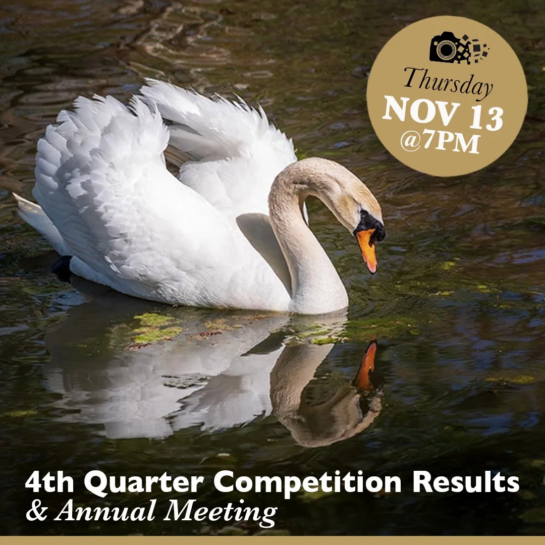 Results of our 4th Quarter Photography Print Competition will be presented along with winner announcements and judging critiques of SWMCC members' submissions. These are popular, well-attended meetings where a wide variety of members' work is represe
