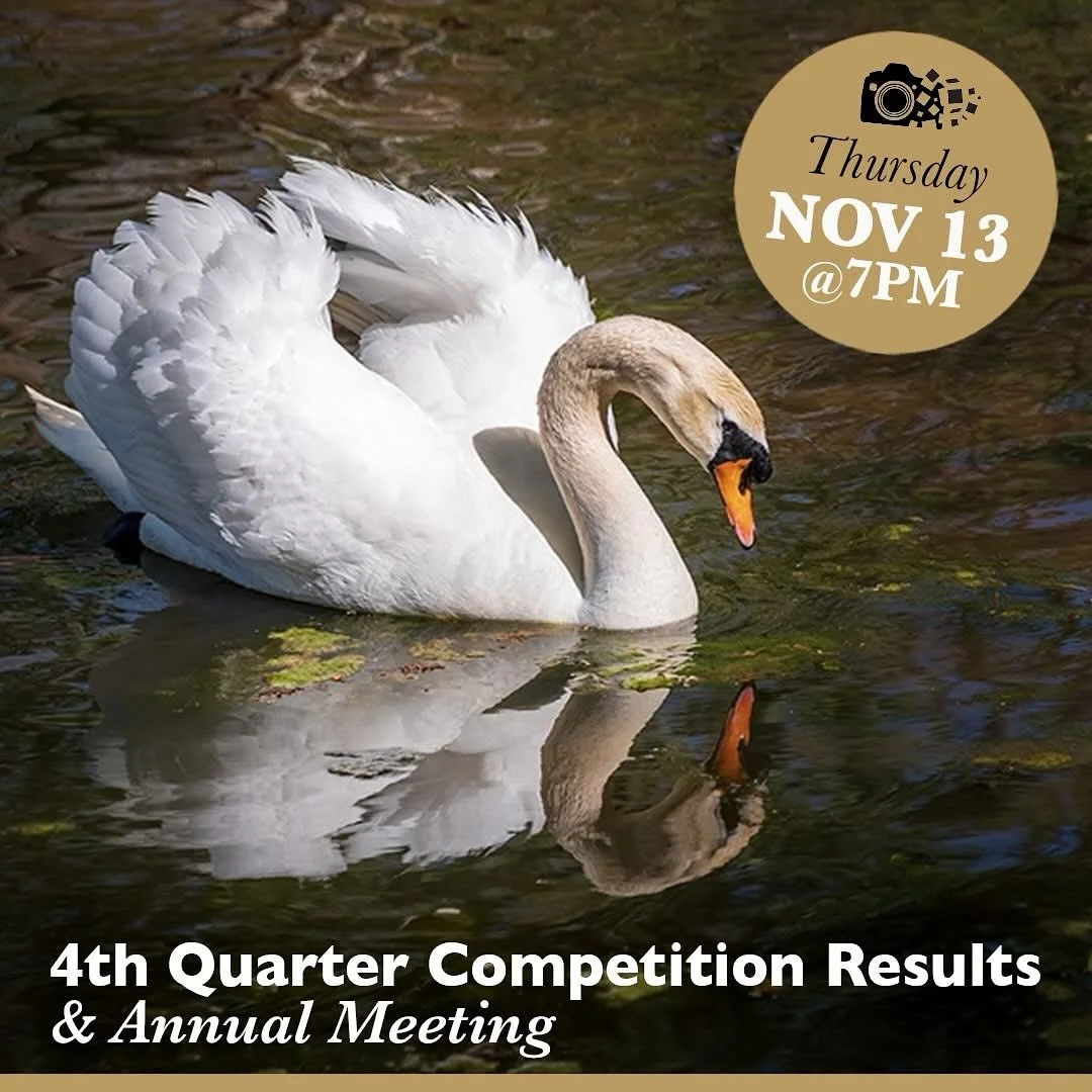 Results of our 4th Quarter Photography Print Competition will be presented along with winner announcements and judging critiques of SWMCC members&rsquo; submissions. These are popular, well-attended meetings where a wide variety of members&rsquo; wor