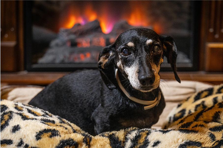 Cozy2.png