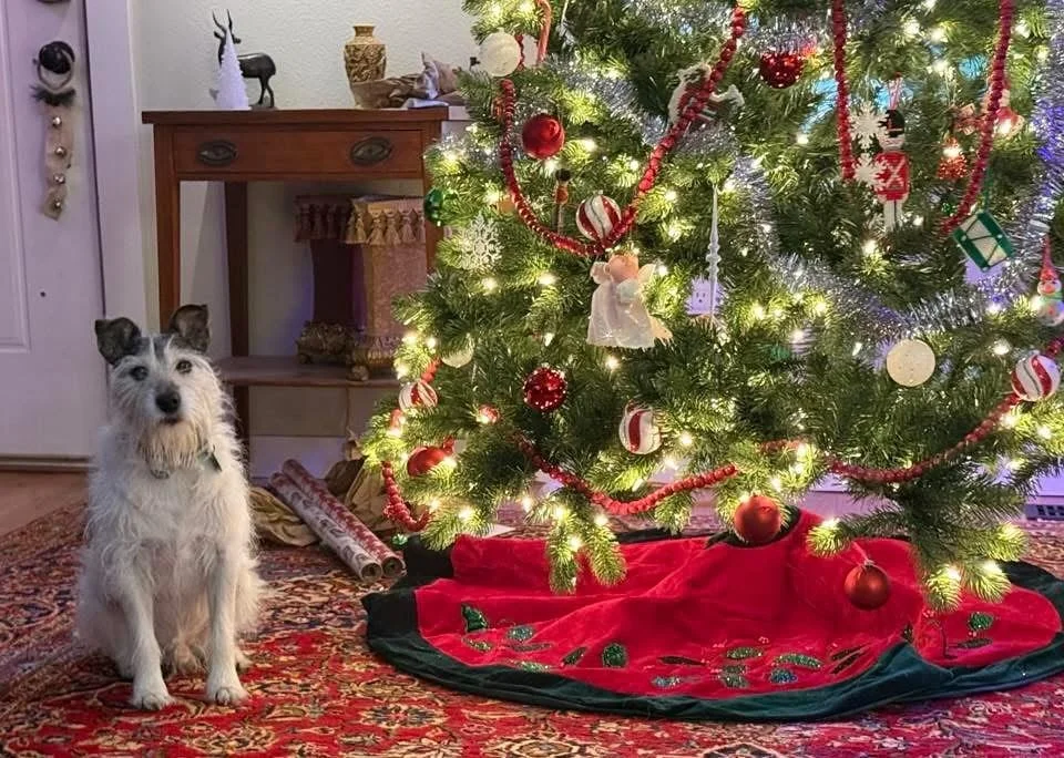 IF HOME FOR THE HOLIDAYS is your vibe, here&rsquo;s your picture perfect image from a SWMCC Theme Prompt. Thank you to @ Randy Connell for sharing this nostalgic delight. MERRY CHRISTMAS!! 🎄🎁