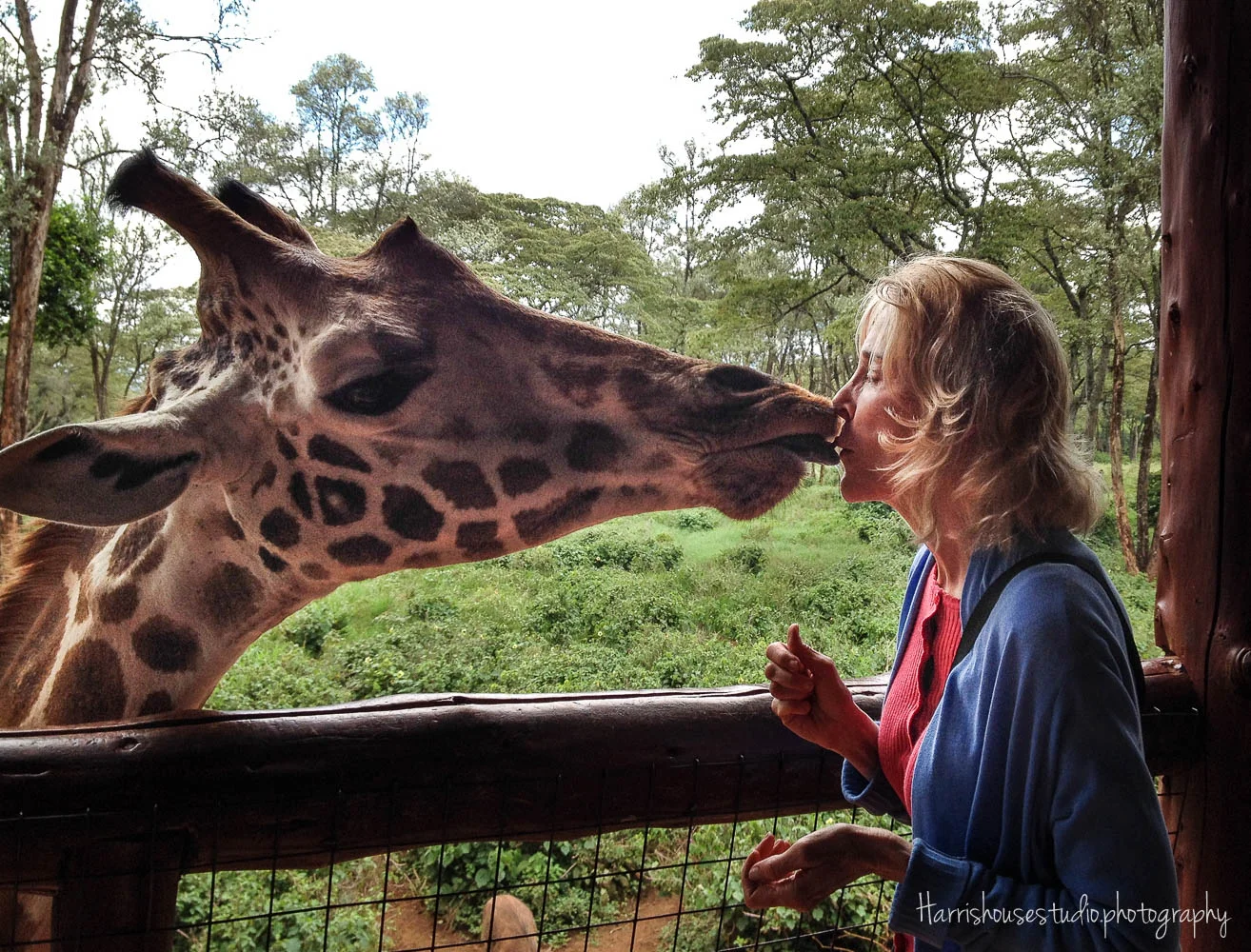 Beverly E Our trip to Kenya was a life-long dream fulfilled. All of our trips have been tremendous opportunities to learn about other cultures, people and their world. I am so grateful to Mary Anne for providing us these travels every year.