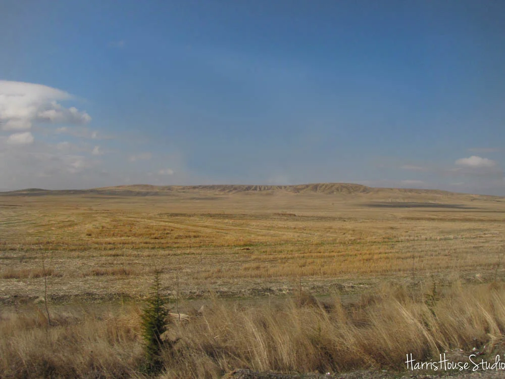 Countryside.jpg