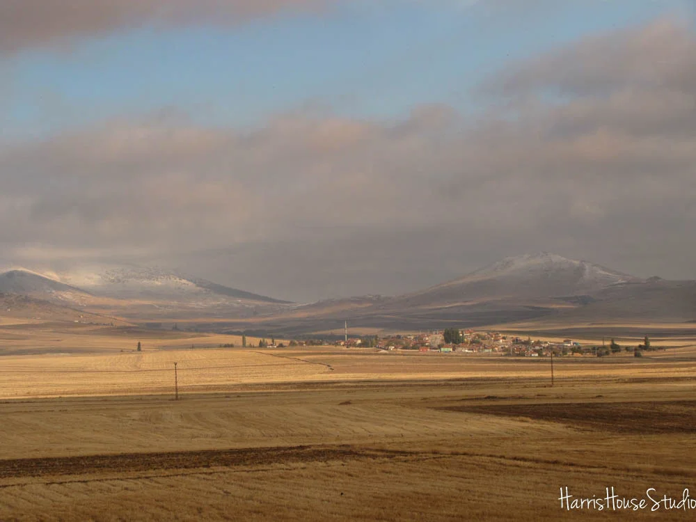 countryside6.jpg