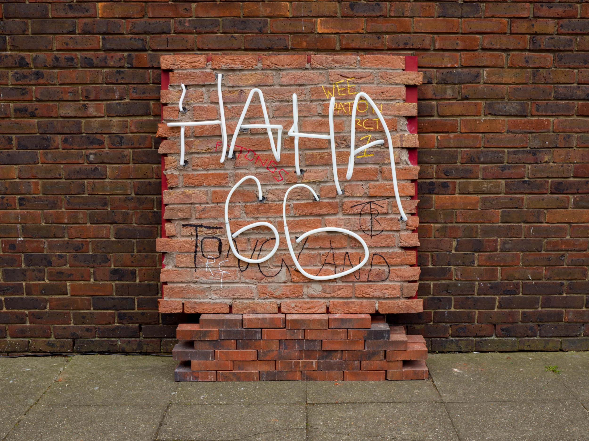 HA HA 66