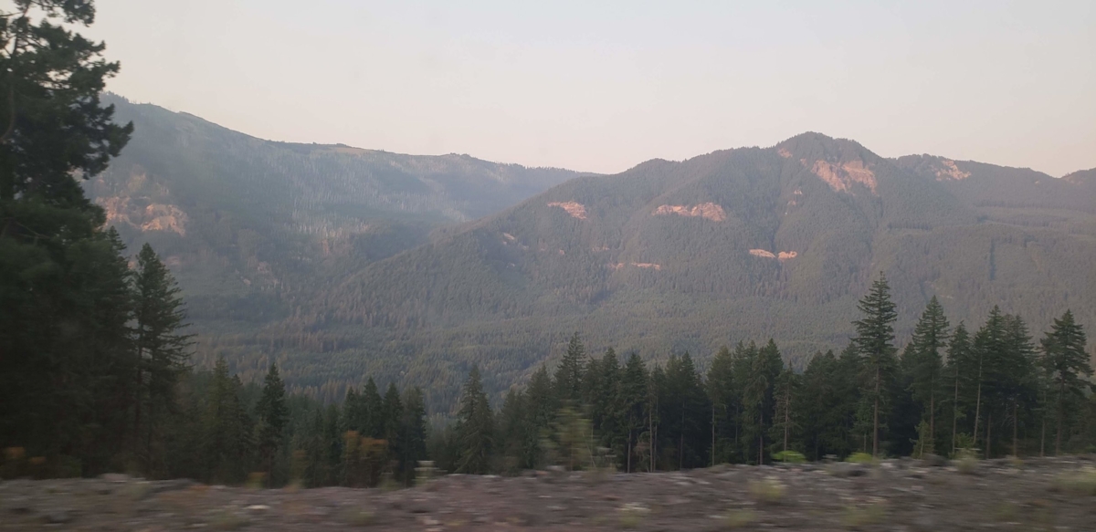 20180806_193852.jpg