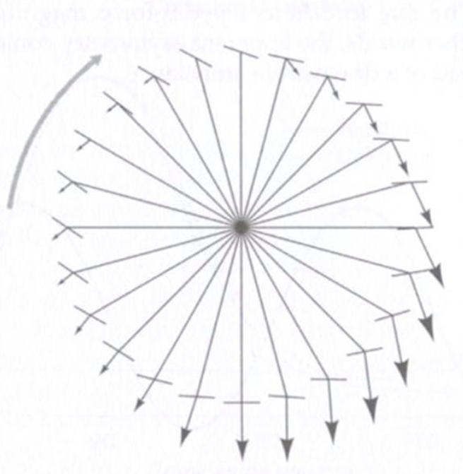 Direction and magnitude of pedal stroke. [International Sport Med Journal)