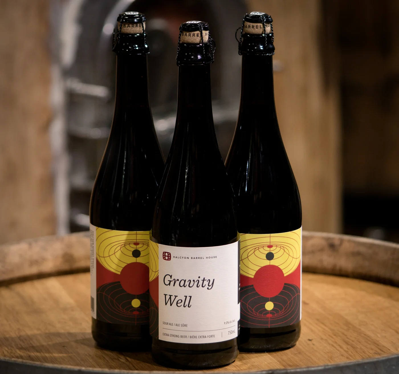 gravity well-6.jpg