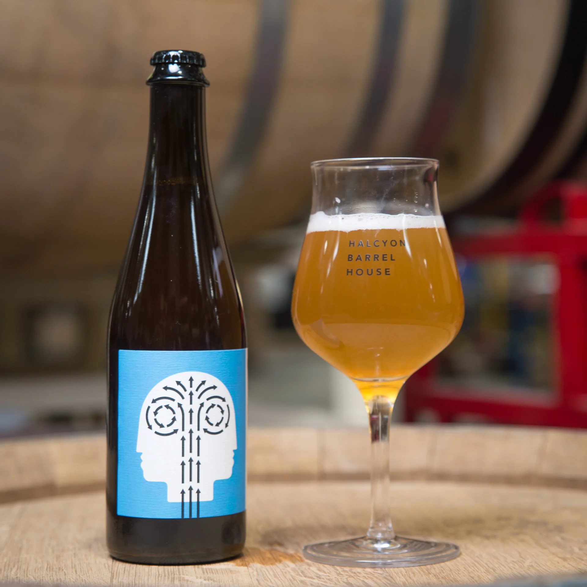 Halcyon curse of knowledge 500ml-6.jpg