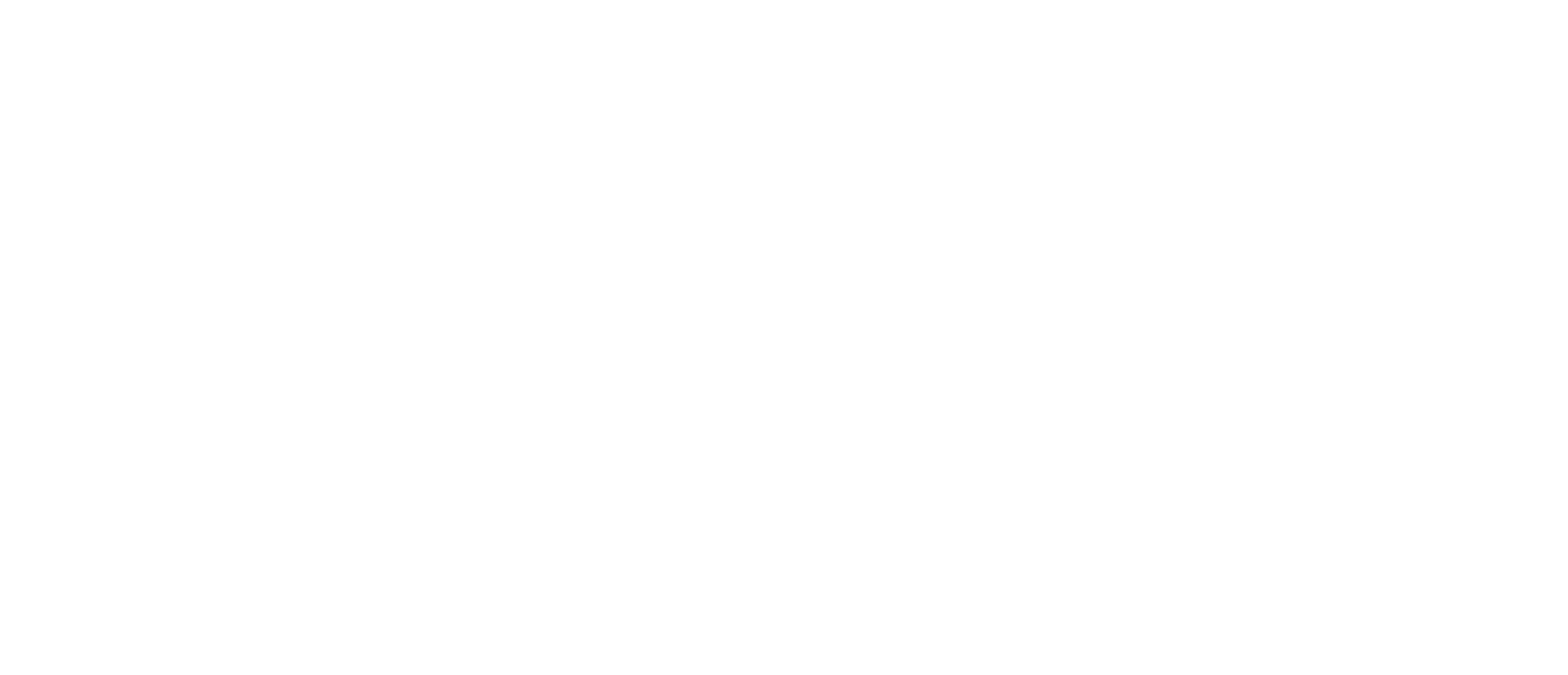 Disaster Law and Consulting - DLC