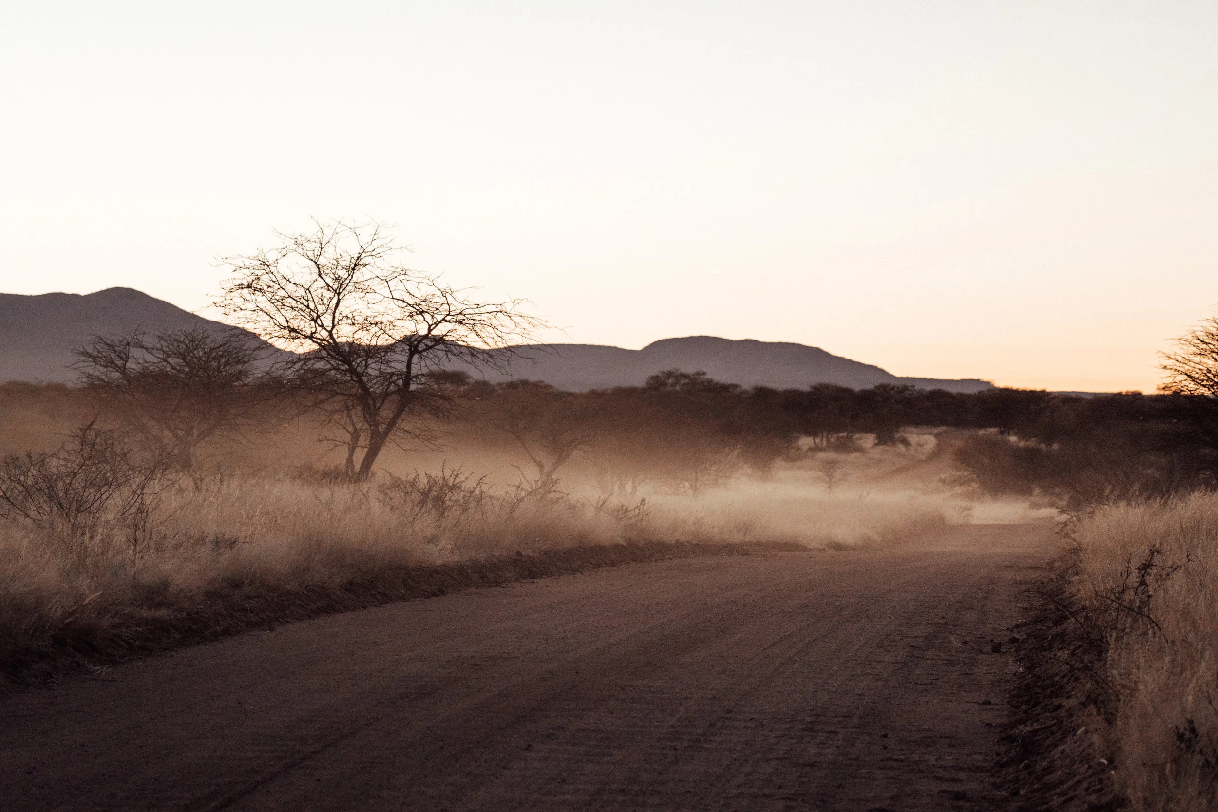 The view from the back of the car as we search for Honey before dawn