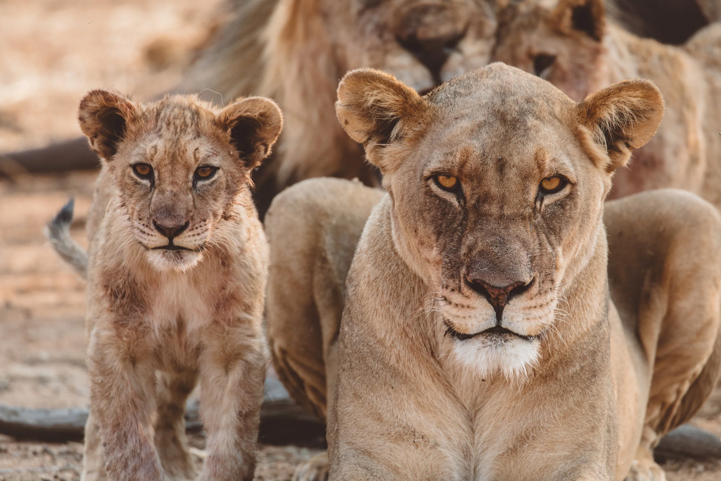 Mother and daughter watch as a car drives past us