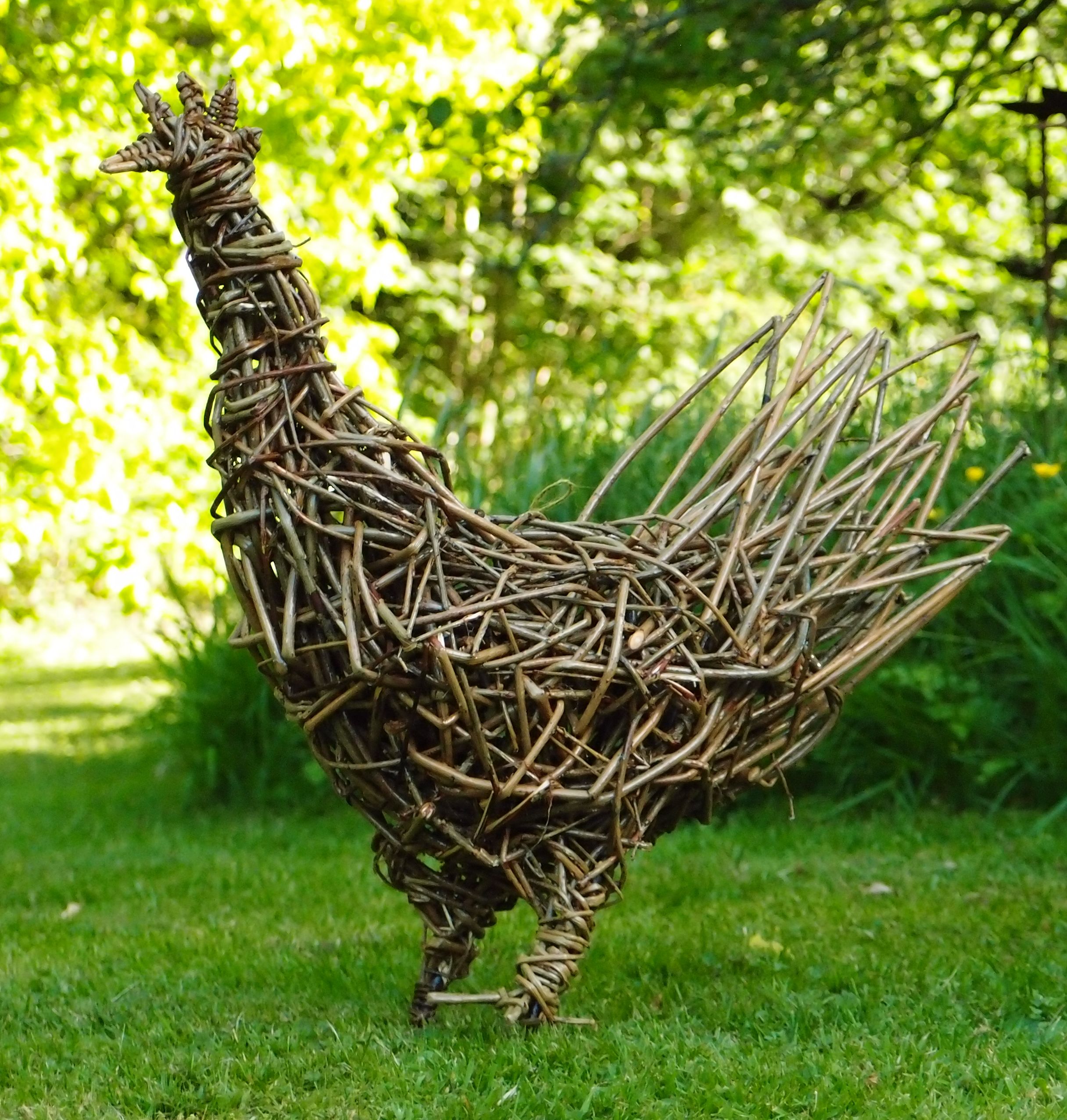 single chicken.jpg