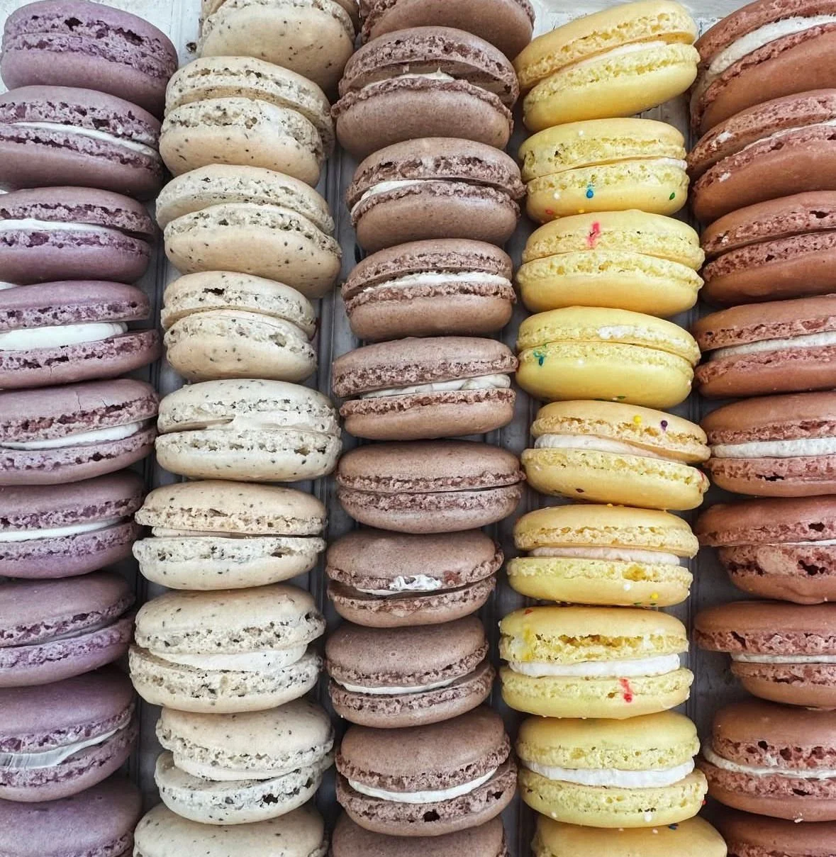 Macaron.jpg