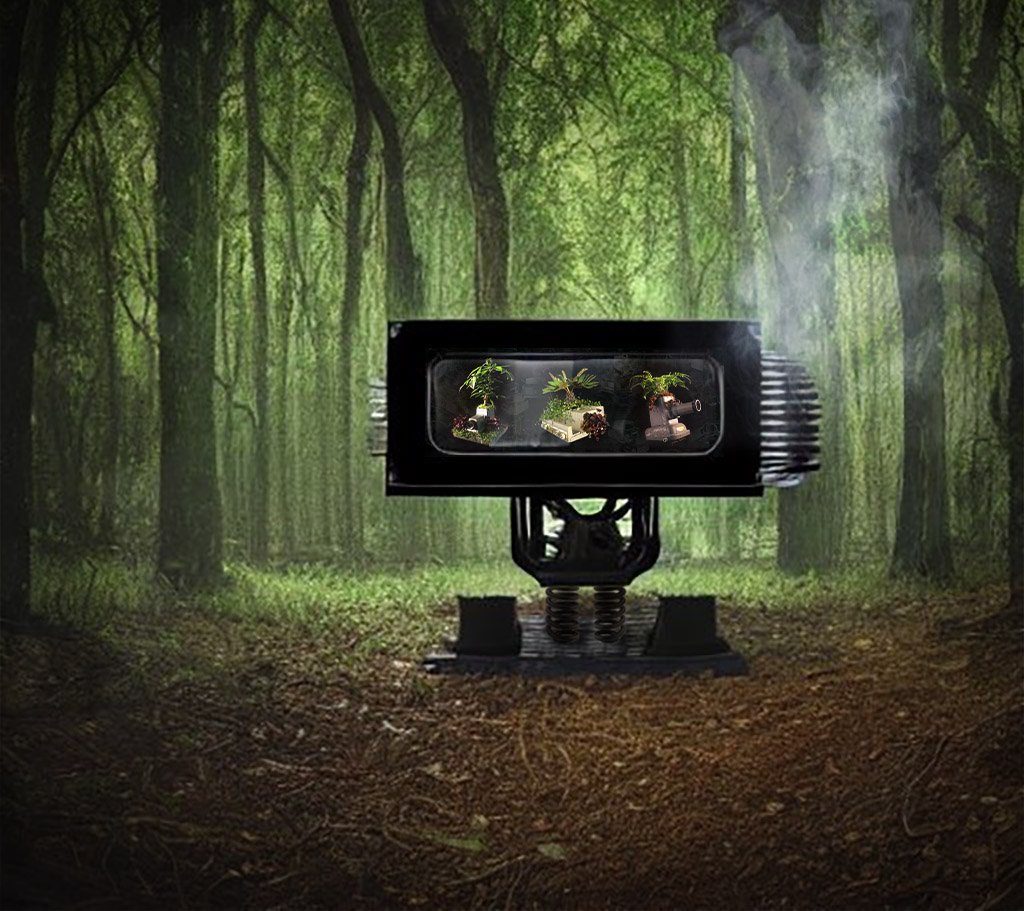consol Teeter TV in the woods.jpg