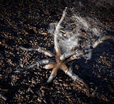 phase 3 SpikeBall.mov-low.gif