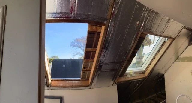 IMG_0820 Medium.jpeg