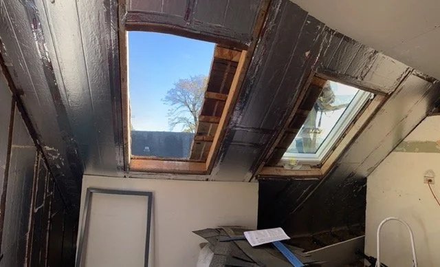 IMG_0821 Medium.jpeg