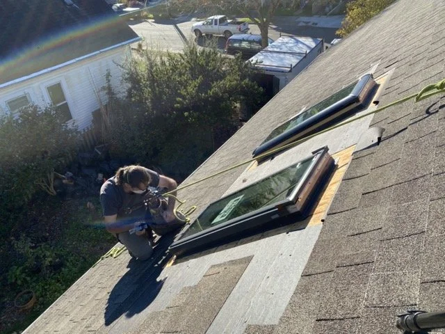 IMG_0822 Medium.jpeg