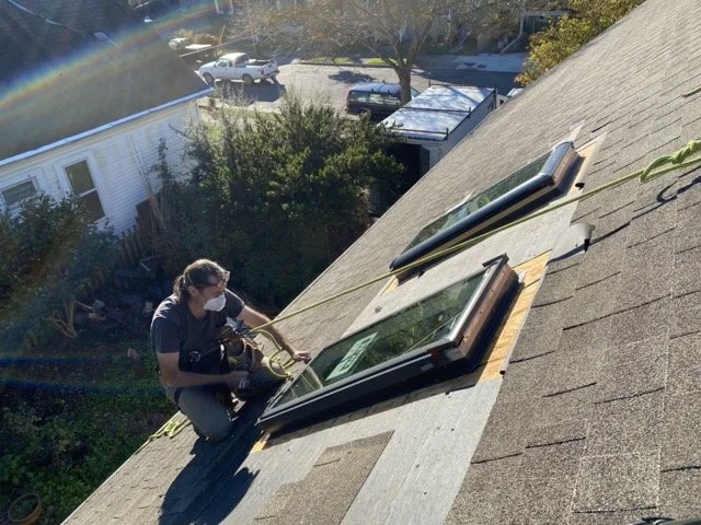 IMG_0823 Medium.jpeg