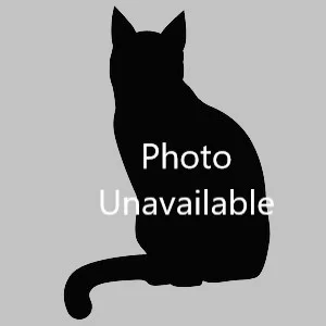Photo unavailable.jpg