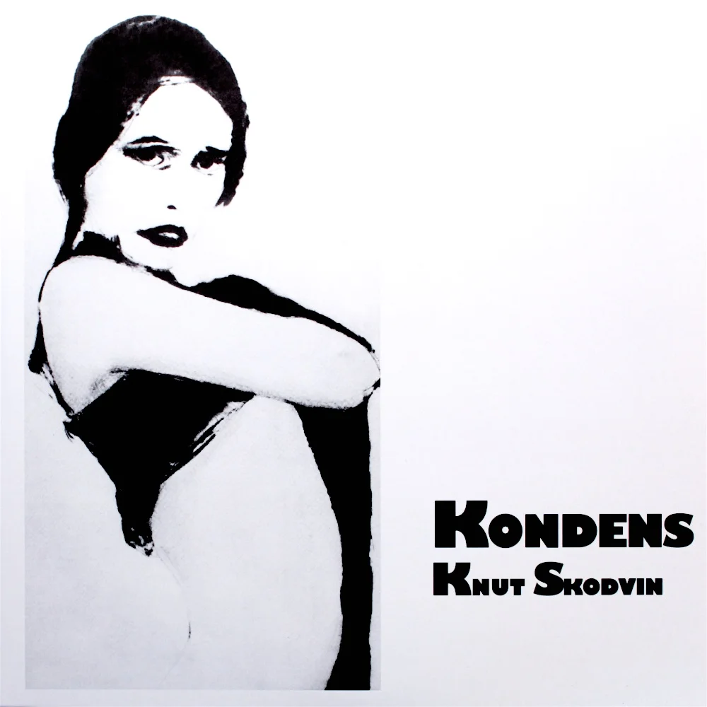 Knut Skodvin - Kondens_1.jpg