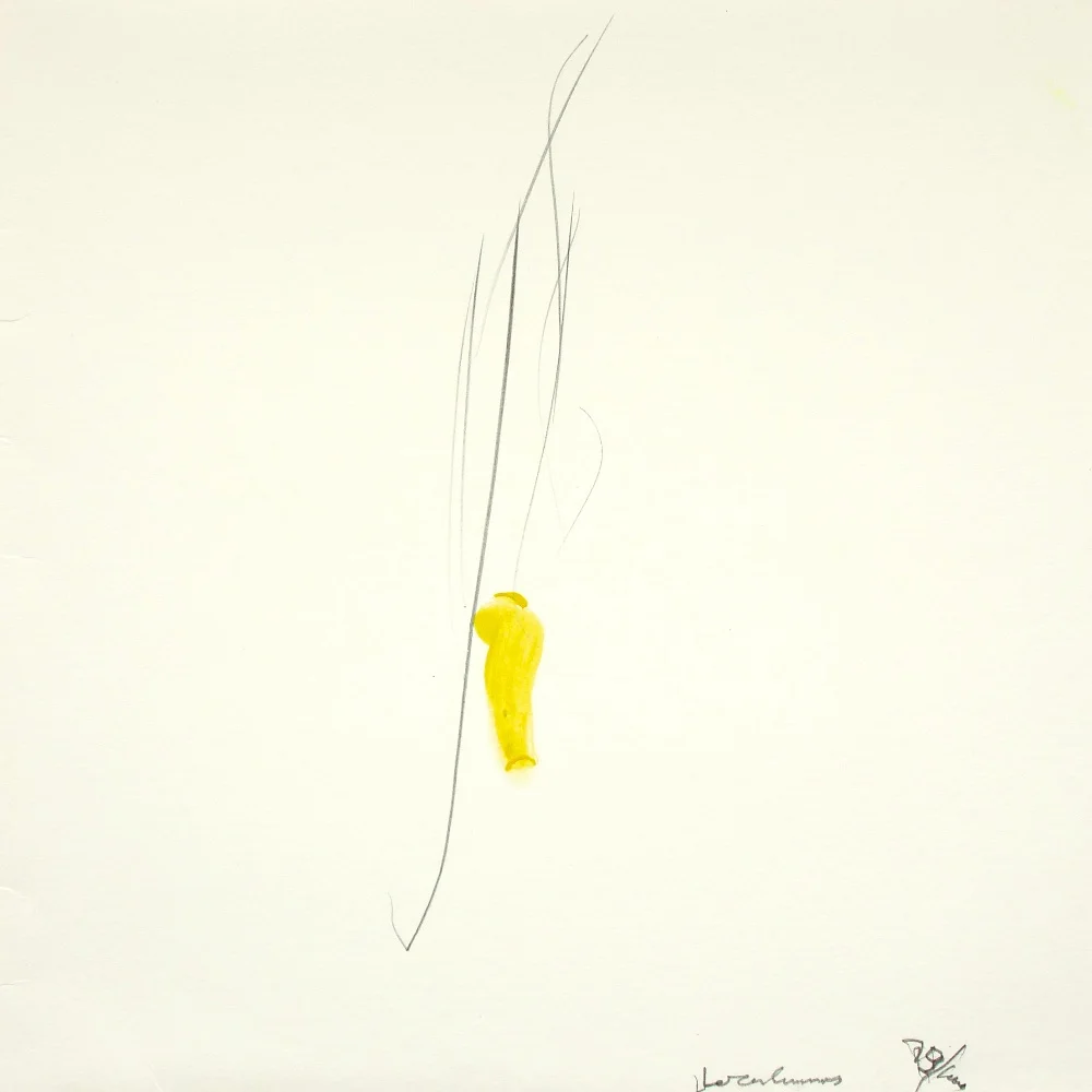 Loren Connors - Unaccompanied Acoustic Guitar Improvisations Vol. 10 ART EDITION LP_No. 79.jpg