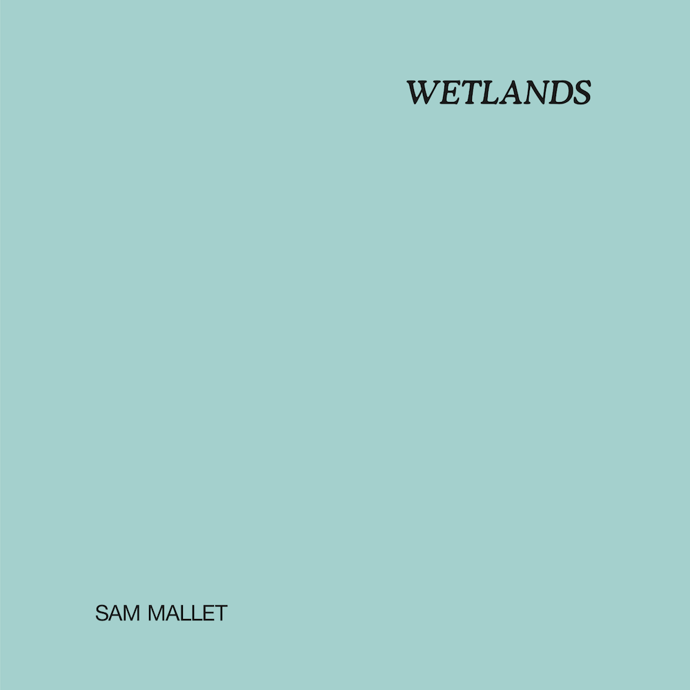 Sam Mallet - Wetlands.png