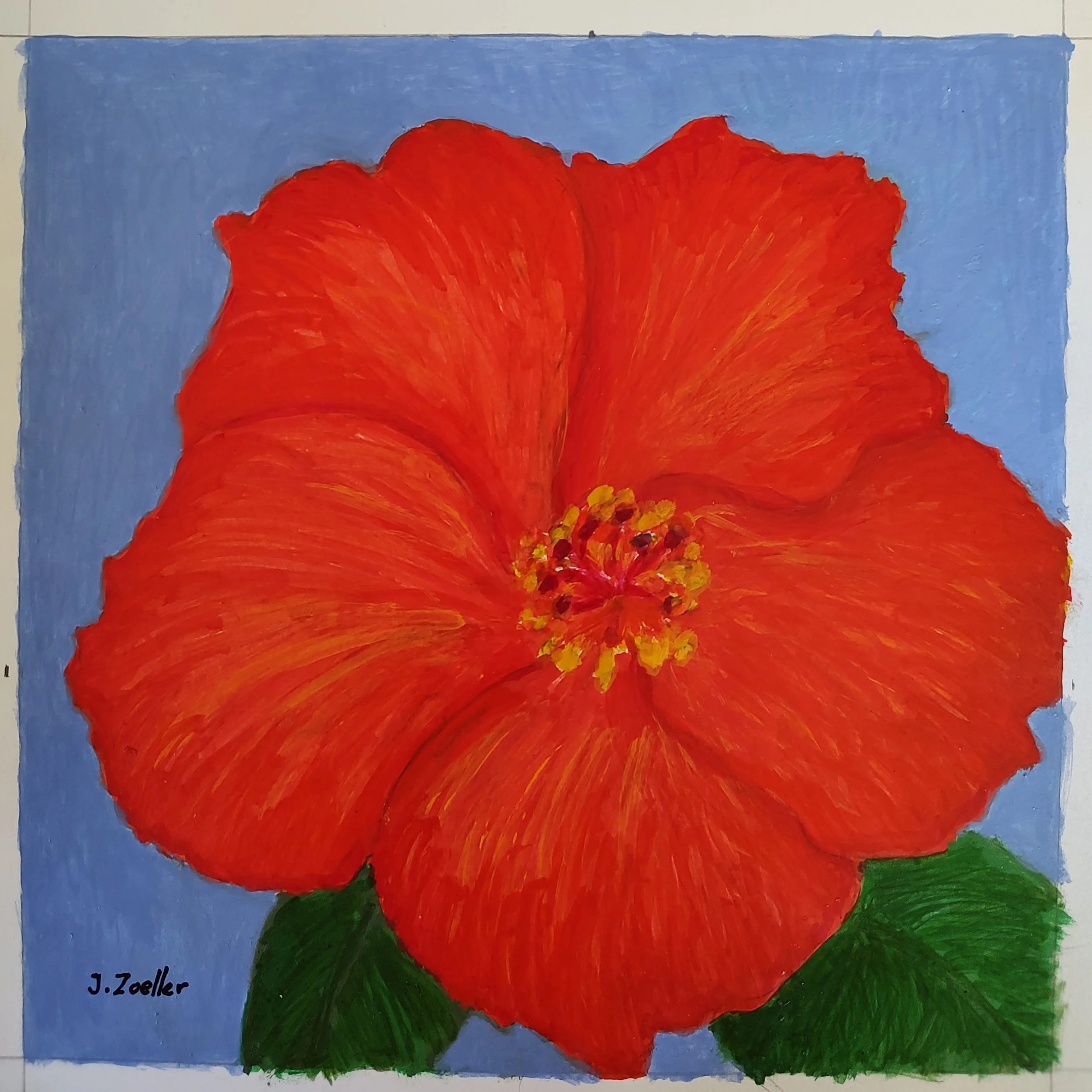 "Hibiscus Study" 8X8 Ink on Paper $165
