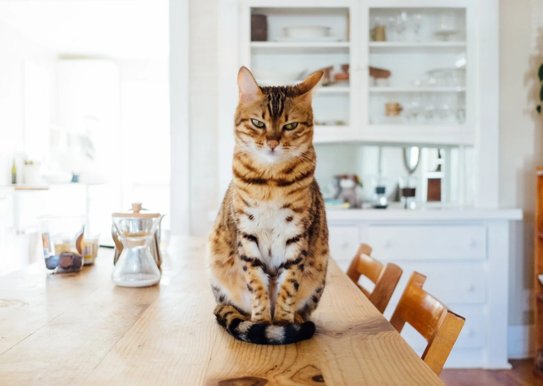 Photo by Paul Hanaoka on Unsplash