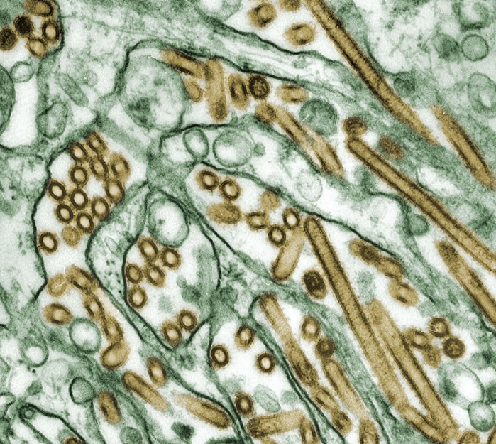 Where We Are Investing Now: Life Sciences, Part 2 - A Framework for Deep Science Startups