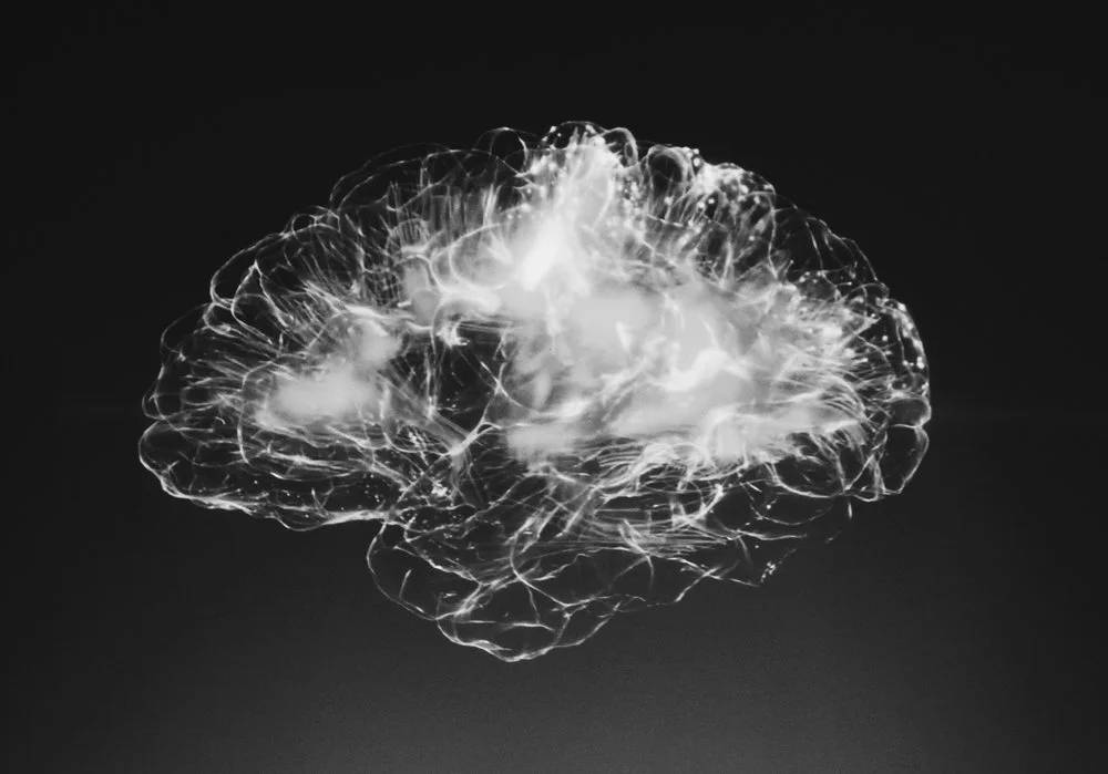 Where We Are Investing Now: Neuroscience