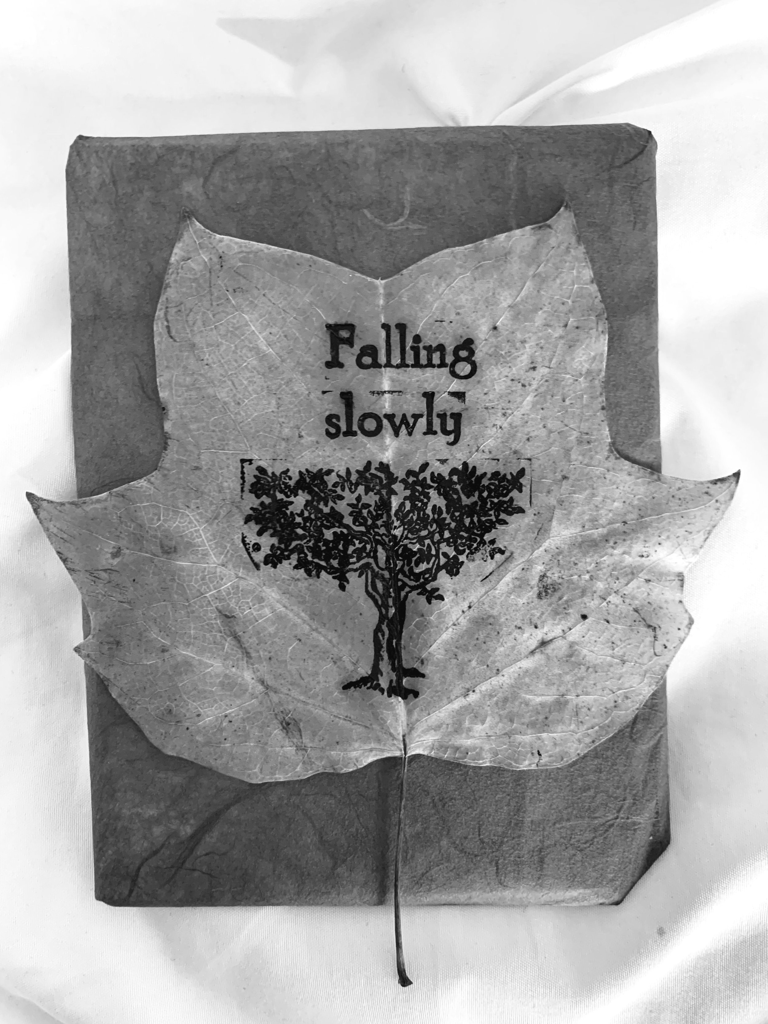 Falling+Slowly+.jpg