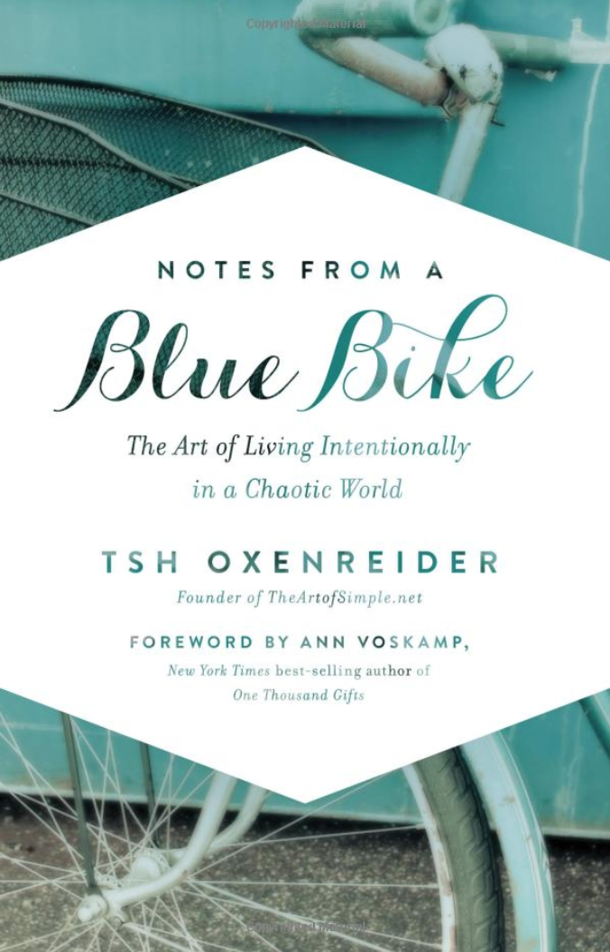 Notes From A Blue Bike Book
