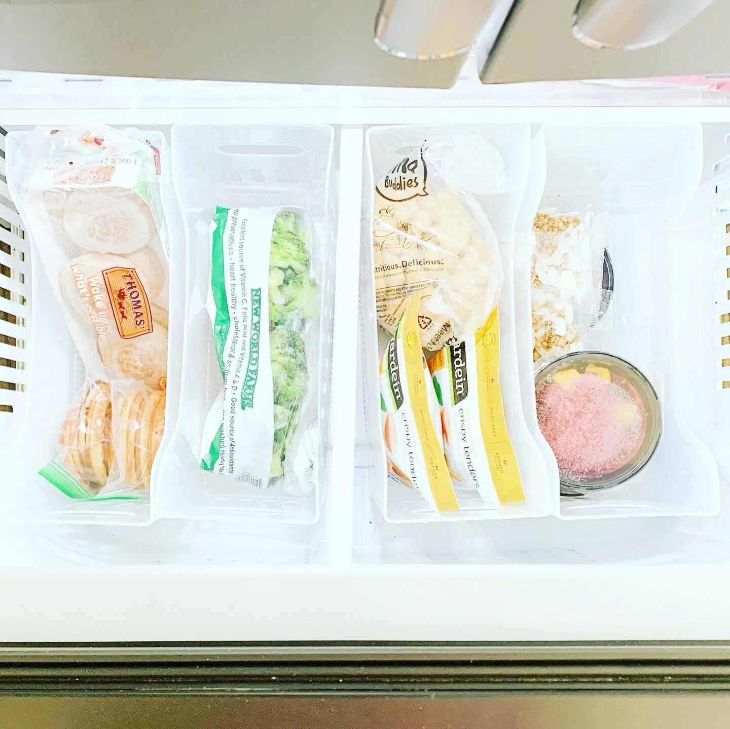 Freezer Storage.JPG